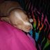 Profile Picture of Steven Pennington (@steven.pennington.7739) on Facebook