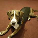 Profile Picture of Tim (@timothymcaleer0299) on Instagram