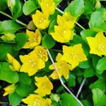 Natali Parker - Instagram Profile Picture of Natali Parker (@tusya_parker) on Instagram