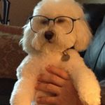 Profile Picture of Martie Hanner Roberts (@mrobe59432) on Instagram