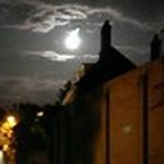 Profile Picture of Lawrence Cohen (@doclozza) on Instagram