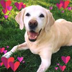 Profile Picture of Andrea Bennington Sharp (@benningtonsharp) on Instagram