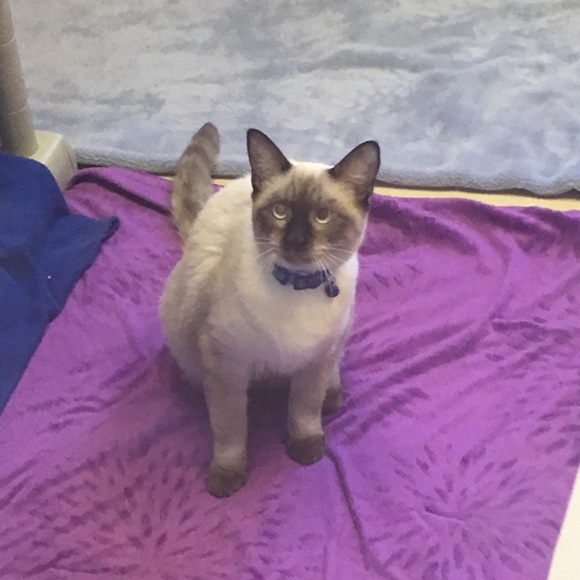 Profile Picture of Tyler Cleghorn (@tylercleghorn52) on Poshmark