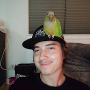 Profile Picture of Adam Shook (@adamshook6039) on Youtube