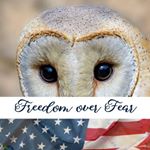 Profile Picture of Alison Craig (@acraig2462) on Instagram