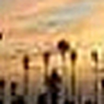 Profile Picture of Teresa Tabassi (@ttabassi) on Flickr