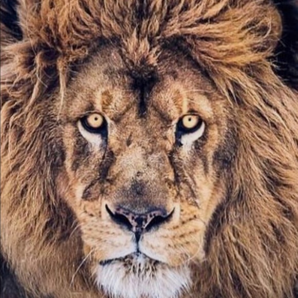 Profile Picture of Eugene Casaus (@sausside) on Poshmark