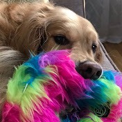 Chris Gillis - Youtube Profile Picture of Chris Gillis (@chrisgillis7557) on Youtube