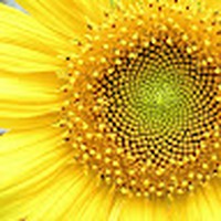 Profile Picture of Suzanne Cassim (@suzanne-cassim-1) on Quora