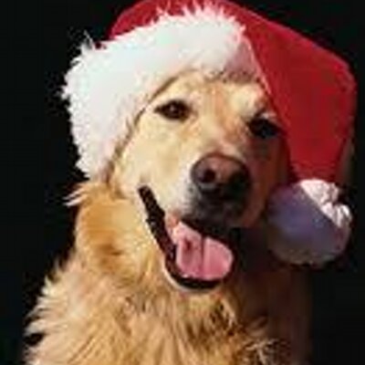 Profile Picture of Desiree K Quintero P (@Desirena1981) on Twitter