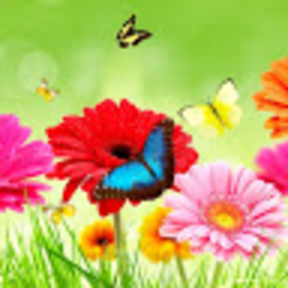 Profile Picture of Sherry Edora (@sherryedora) on Poshmark