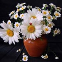 Maya Rogava - Quora Profile Picture of Maya Rogava (@maya-rogava) on Quora