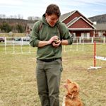 Profile Picture of Michael Accetta (@1998dogs) on Instagram