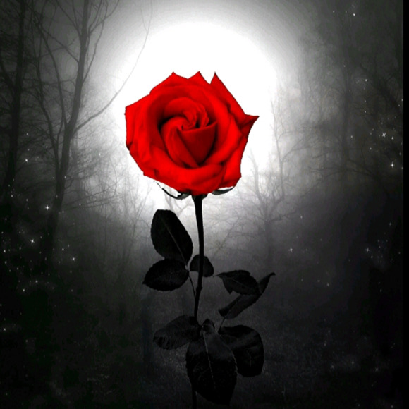 Profile Picture of Stacie Swanson (@jeweliarose4) on Poshmark