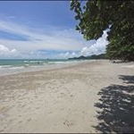 Profile Picture of Craighall (@craighallemili) on Instagram