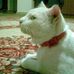 Profile Picture of Amira Sabbagh (@amira.sabbagh.129) on Facebook