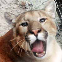 Profile Picture of Barbara Covey (@barbara-covey-5) on Quora