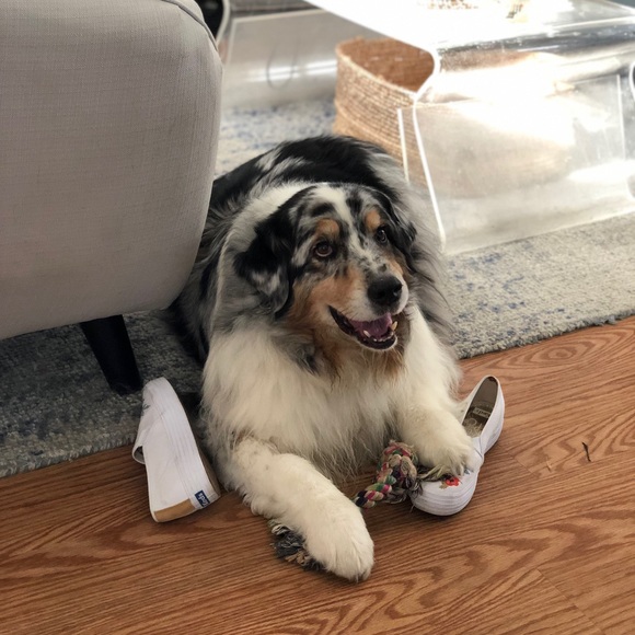 Profile Picture of Liz Lafey (@sagefashion) on Poshmark