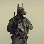 Profile Picture of Janek Garbala (@janek.garbala) on Instagram