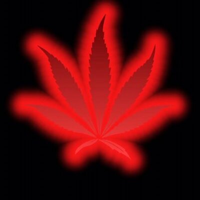 Profile Picture of Cyril Bennett (@cyril_319) on Twitter