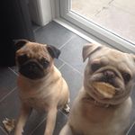 Profile Picture of Debbie Mckenna (@debbie.mckenna.9041) on Instagram