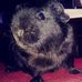 Profile Picture of Steve Forester (@steve.forester.18) on Facebook