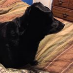 Profile Picture of Joy Holliday (@holliday5156) on Instagram