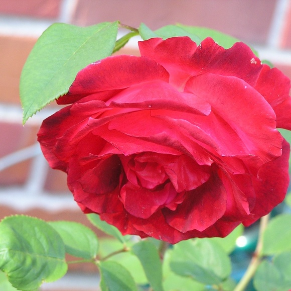 Profile Picture of Chris Pike (@pmbhapi) on Poshmark