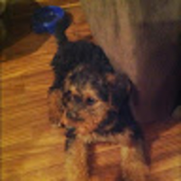 Profile Picture of Martha Wilmoth (@marthawilmoth) on Poshmark