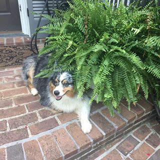 Profile Picture of Janet Calhoun (@janet.calhoun.16) on Facebook