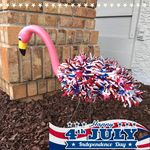 Profile Picture of Robin Emmons (@robincraig) on Instagram