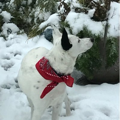 Profile Picture of Lorimar (@lorimar1030) on Twitter