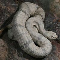 Profile Picture of Michael Welker (@michael-welker-23) on Quora