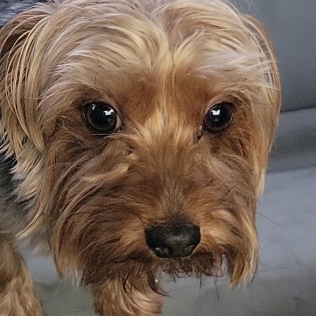 Profile Picture of Celina Paulino (@celinapaulino6) on Tiktok