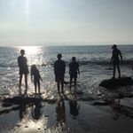 Peter Heenan - Instagram Profile Picture of Peter Heenan (@p_heenan720) on Instagram