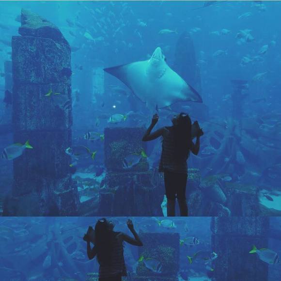 Profile Picture of Alexa Franco (@alexafranco953) on Poshmark