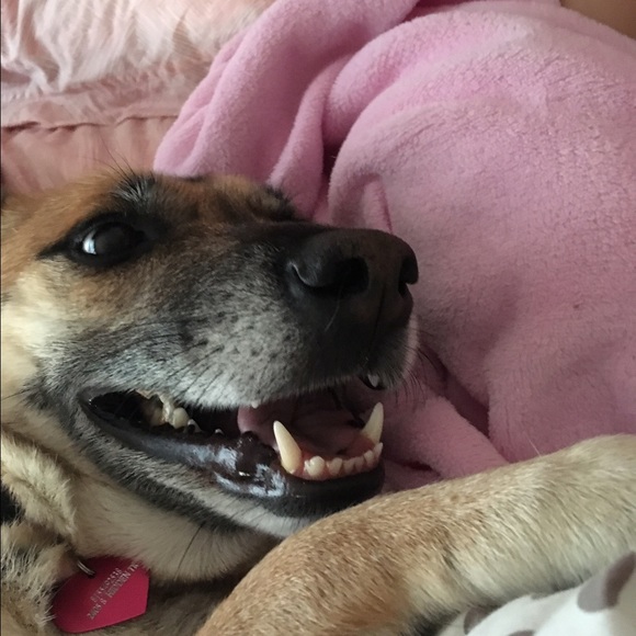 Kylee Krysiak - Poshmark Profile Picture of Kylee Krysiak (@kybear123) on Poshmark