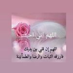 Profile Picture of Manal Ammar (@manal__ammar) on Instagram