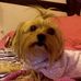 Profile Picture of Pyxie Campbell (@pyxie.campbell) on Facebook