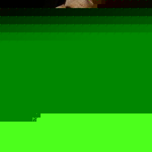 Profile Picture of Andrew Strassell (@countryboy9876) on Myspace