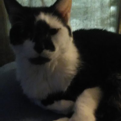 Profile Picture of Alice Tremblay (@abw3210) on Twitter