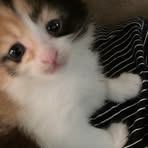 Profile Picture of S Net Barnett (@S-Net-Barnett) on Facebook