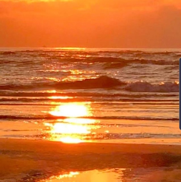 Rosemary Silva - Poshmark Profile Picture of Rosemary Silva (@roz_1031) on Poshmark