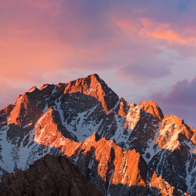 Profile Picture of Dan Nelsen (@DanNelsen) on Twitter