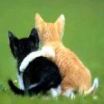 Profile Picture of Christelle Rakowski (@christellerakowski) on Instagram