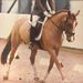 Profile Picture of Oscar Travis (@natbag10687) on Pinterest