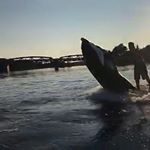 Profile Picture of John Paul Reckner (@john_paul21207) on Instagram