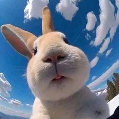 Profile Picture of Kyle Nystrom (@kyle.nystrom) on Tiktok