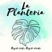 Profile Picture of La Planteria (@denisep1921) on Pinterest