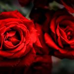 Profile Picture of Cindy Moeller (@cindy_make.it) on Instagram